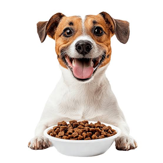 FurEase Automatic Pet Feeder With Camera - FurEase