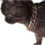 Elevate Your Pet's Style with the Pet Glamour Gold Neck Chain