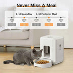 Automatic Pet Feeder: Simplify Mealtime for Your Furry Friend
