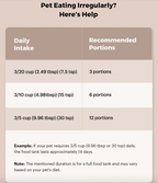 Smart Automatic Pet Feeder: The Ultimate Solution for Timely and Healthy Meals