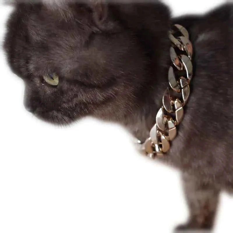 Elevate Your Pet's Style with the Pet Glamour Gold Neck Chain