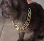 Elevate Your Pet's Style with the Pet Glamour Gold Neck Chain
