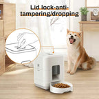 Automatic Pet Feeder: Simplify Mealtime for Your Furry Friend