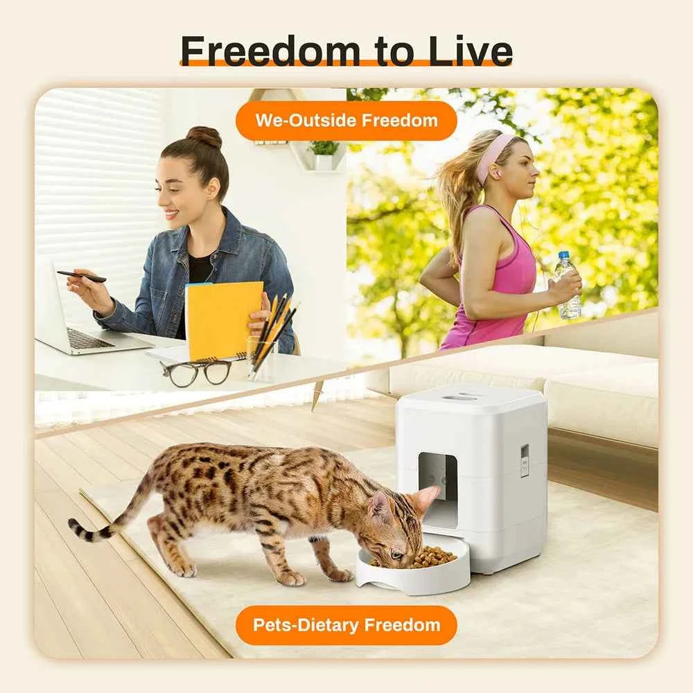 Automatic Pet Feeder: Simplify Mealtime for Your Furry Friend