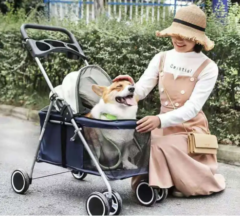 Discover Freedom with the Compact Pet Explorer Troller