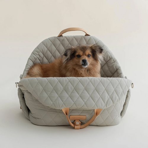 All-Weather Pet Tote: Stylish Comfort for Your Pet's Adventures