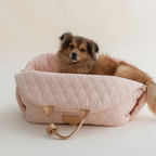 All-Weather Pet Tote: Stylish Comfort for Your Pet's Adventures