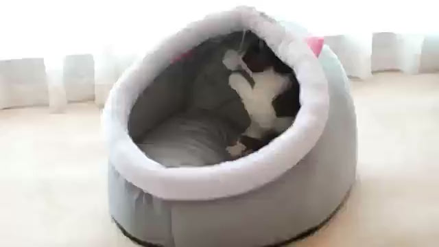 Cozy Winter Velvet Cat House – Warm Enclosed Sleeping Cave Bed for Indoor Cats & Small Dogs